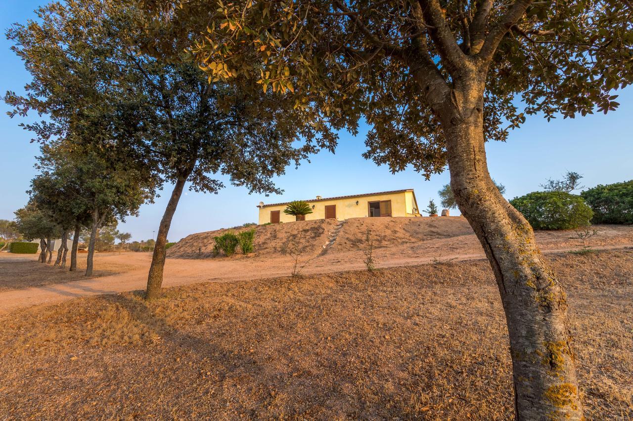 Molti Mari B&B Resort Olbia Exteriér fotografie